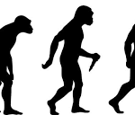 A regressão do Homo Sapiens